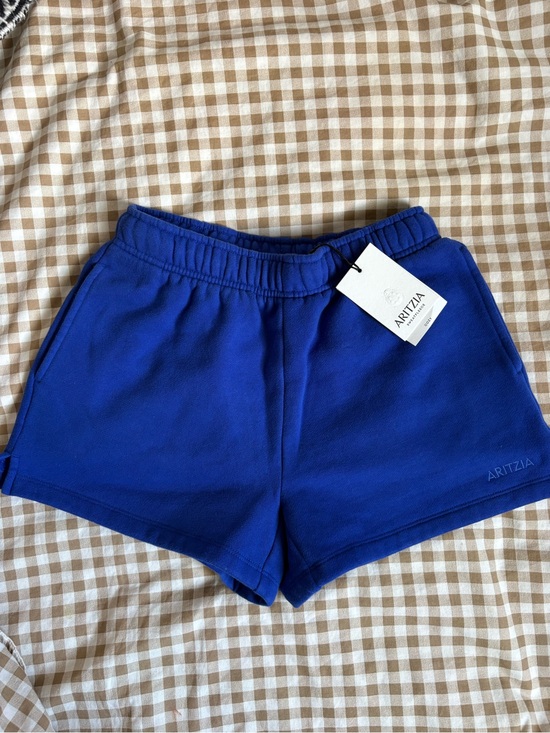Aritzia Pants - Aritzia Mega Mini Shorts